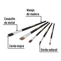 Juego de pinceles en blister con 5 piezas, Pretul - JPIN-5P / 24740 Juego de pinceles en blister con 5 piezas, Pretul - JPIN-5P / 24740