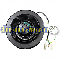 Sk Ventilador Radial Rb2T 190/060 - 3396259 Sk Ventilador Radial Rb2T 190/060 - 3396259